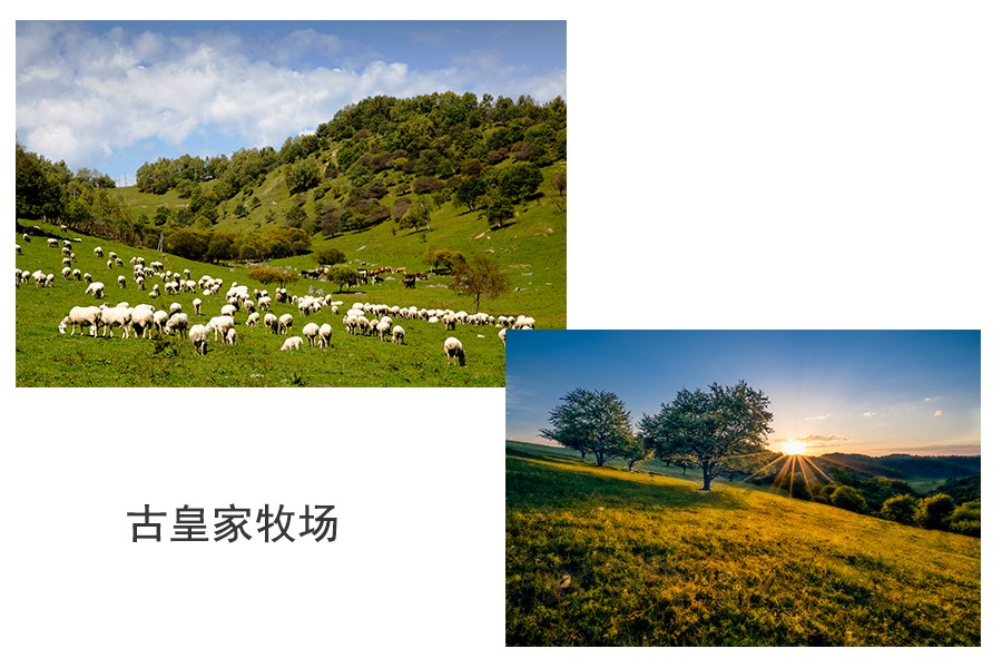 乐天堂·fun88(中国区) - 官方网站