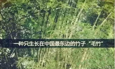乐天堂·fun88(中国区) - 官方网站