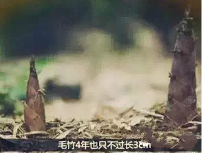乐天堂·fun88(中国区) - 官方网站
