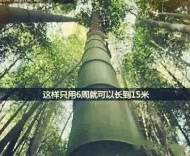 乐天堂·fun88(中国区) - 官方网站