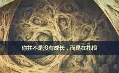 乐天堂·fun88(中国区) - 官方网站