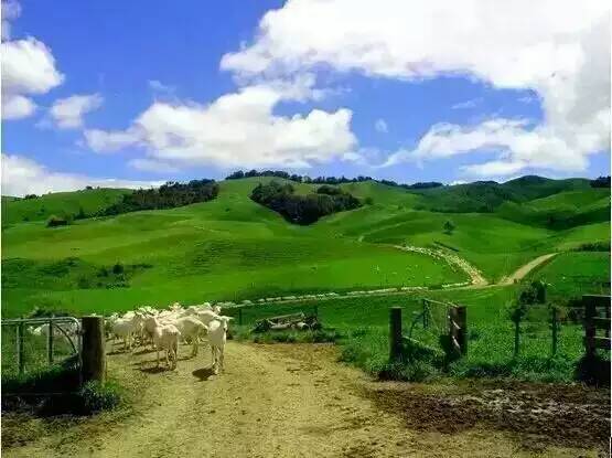 乐天堂·fun88(中国区) - 官方网站